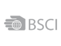 BSCI